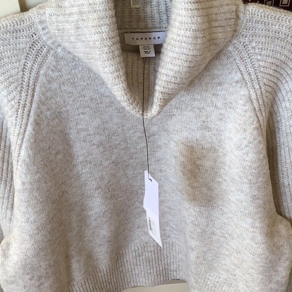 Gorgeous new sweater by Topshop π¦π€π€ - Picture 11 of 12